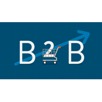 B2B Girişi